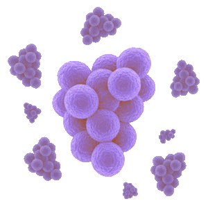 Staphylococci Meet 2027